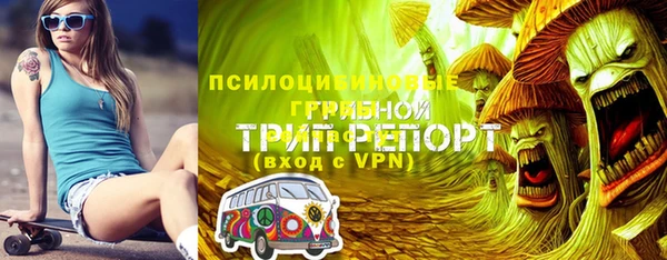 ГАЛЛЮЦИНОГЕННЫЕ ГРИБЫ Новодвинск