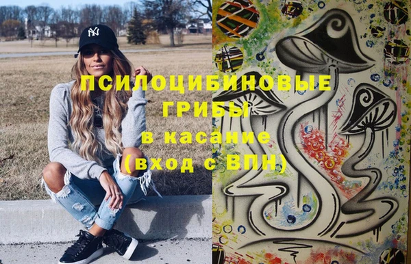 мдпв Нея